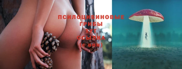 стафф Алексеевка