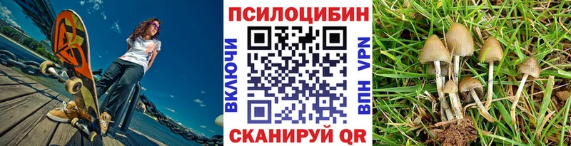 Галлюциногенные грибы MAGIC MUSHROOMS  Заводоуковск 